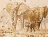 Elephants and Namaqua Doves, Счетный крест, фото 1