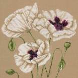 White Poppies, Вышивка крестом, фото