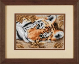 Притягательный тигр (Beguiling Tiger), Счетный крест, фото